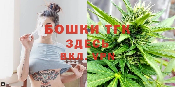 ГАЛЛЮЦИНОГЕННЫЕ ГРИБЫ Алексин