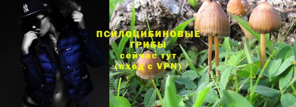 mix Алексеевка