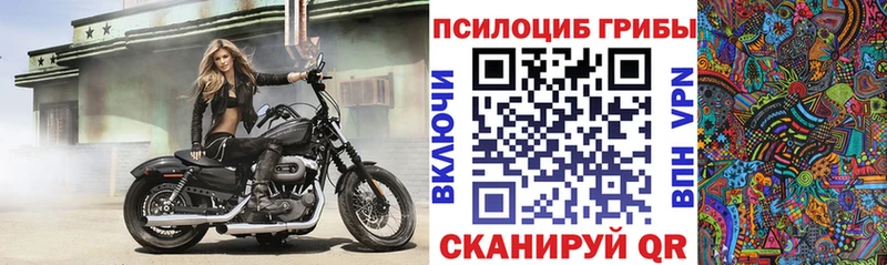 Псилоцибиновые грибы мухоморы  закладка  Вышний Волочёк 